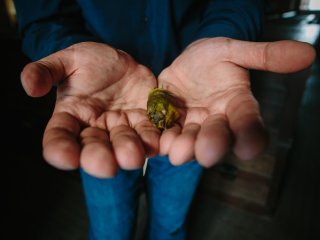 В Зоологическом музее МГУ. Фото: Ольга Мерзлякова / «Научная Россия»