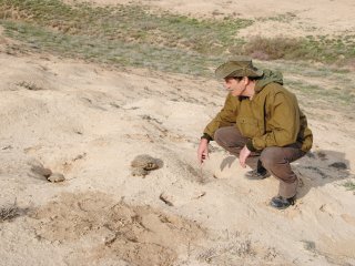 СТЕПНОЕ ДЕЛО. Академик Чибилёв об экспедициях РГО, сохранении лошади Пржевальск…