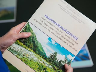 Углеродная нейтральность – главный тренд в мировой экономике. Интервью с чл.-корр. РАН А. Романовской. Фото: Николай Мохначев / Научная Россия