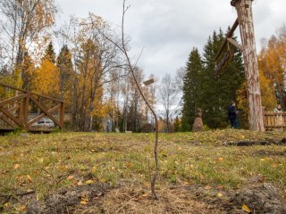 Карелия в миниатюре. Рассказываем об уникальном заповеднике «Кивач». Фото: Николай Мохначев / «Научная Россия»