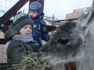 Альпачино и его команда…Фото: Мария Кравчук / «Научная Россия»