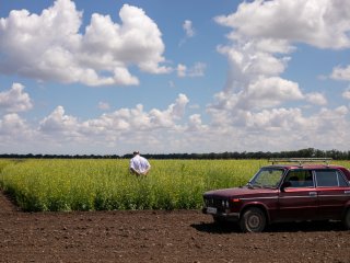 НИИСХ Крыма: Ведём прямой диалог с растениями. Фото: Николай Мохначев / Научная Россия