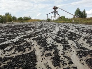 Песчаный карьер с многочисленными образцами обугленной древесины. Фото © Алексей Пахневич