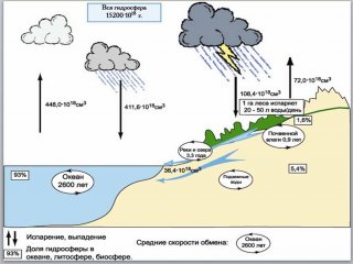 Биосфера, в которой мы живем