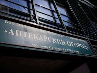 Фестиваль «Природа стран БРИКС» открылся в Ботаническом саду МГУ «Аптекарский огород» 29 мая 2024 г. Фото: Елена Либрик / «Научная Россия»