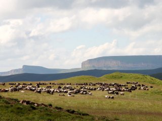 Теория миграции древнего населения юга России