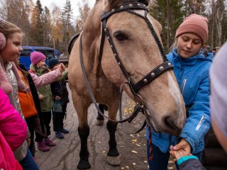 Карелия в миниатюре. Рассказываем об уникальном заповеднике «Кивач». Фото: Николай Мохначев / «Научная Россия»