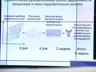 КЛЕТОЧНЫЙ ИММУНИТЕТ В БОРЬБЕ С COVID-19. Фото: Николай Малахин / Научная Россия